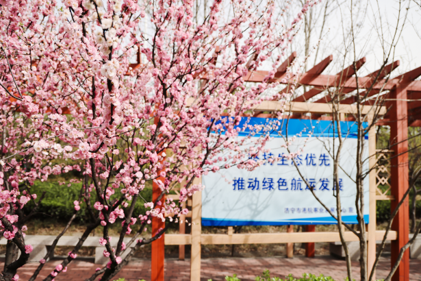 码头企业微信截图_20250408150644.png